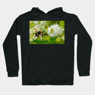 Flight Of The Bee Hoodie